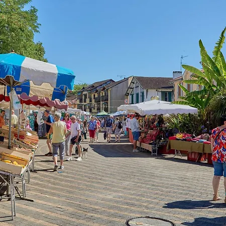 Lumineux, Terrasse, Parking Gratuit, Animaux Admis - Fr-1-841-36 Διαμέρισμα Barbotan-les-Thermes