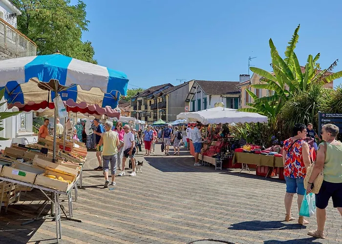 Lumineux, Terrasse, Parking Gratuit, Animaux Admis - Fr-1-841-36 公寓 巴布通莱班