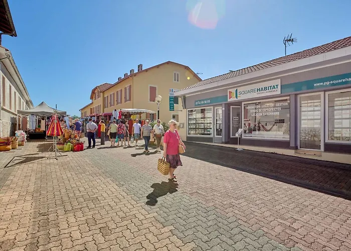 Lumineux, Terrasse, Parking Gratuit, Animaux Admis - Fr-1-841-36 Barbotan-les-Thermes